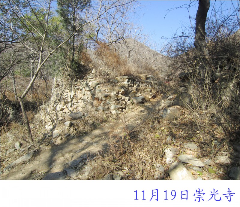 conew_照片 026.jpg