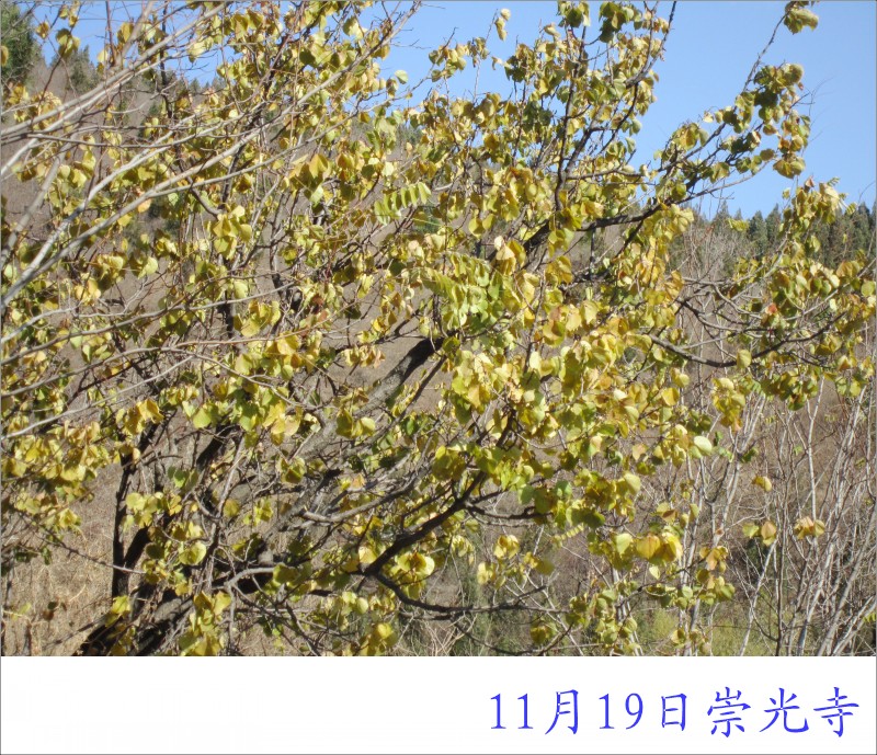 conew_照片 029.jpg