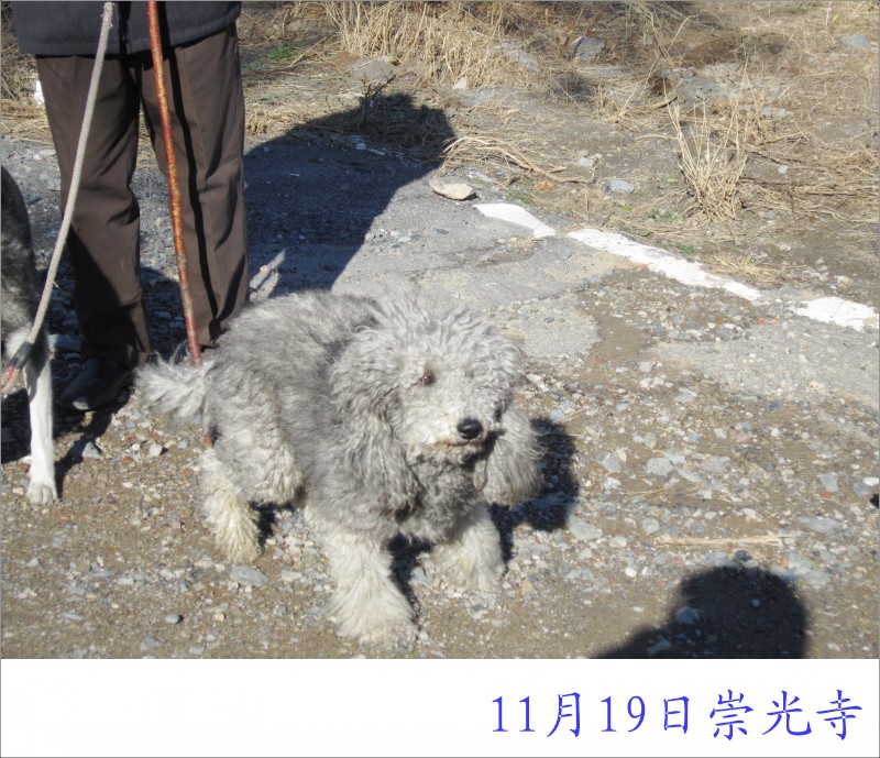 conew_照片 032.jpg