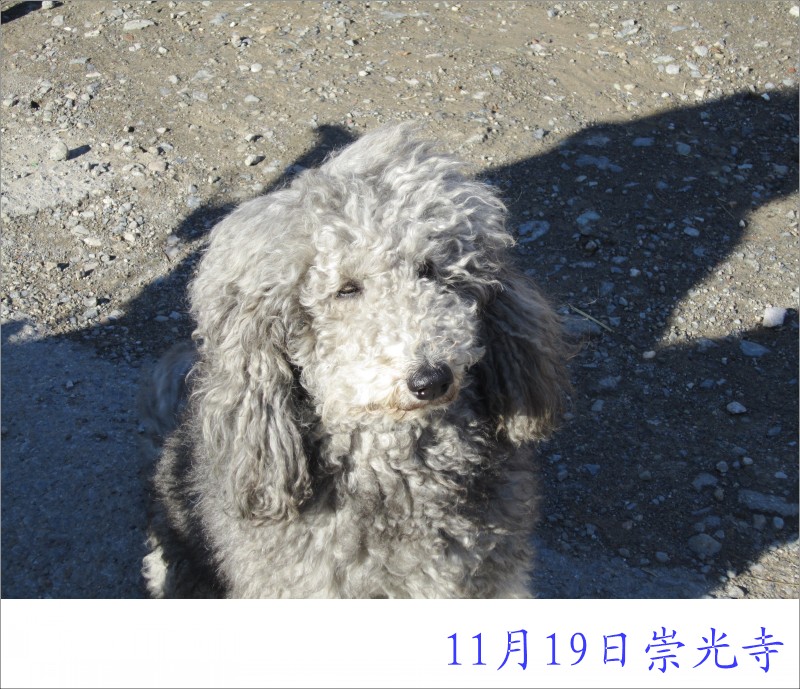 conew_照片 033.jpg