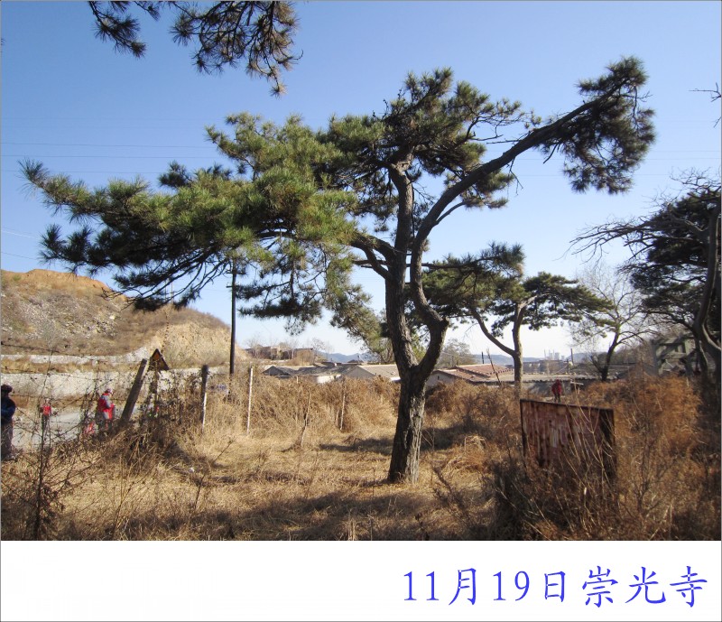 conew_照片 034.jpg