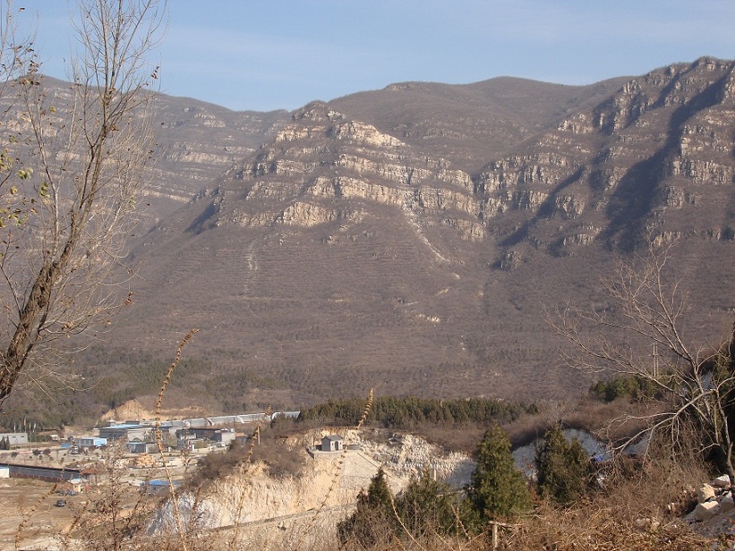 山都被采秃了。。。