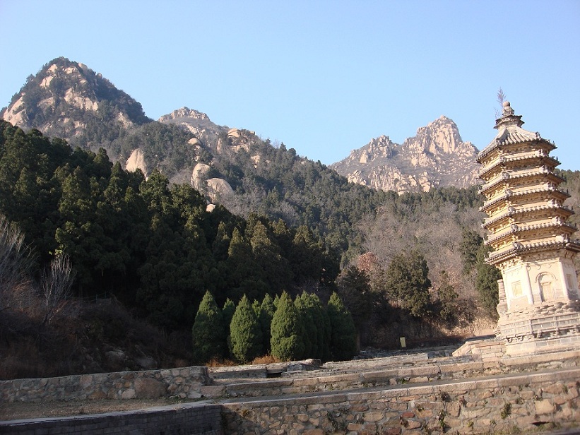 蓝天，绿树，高塔