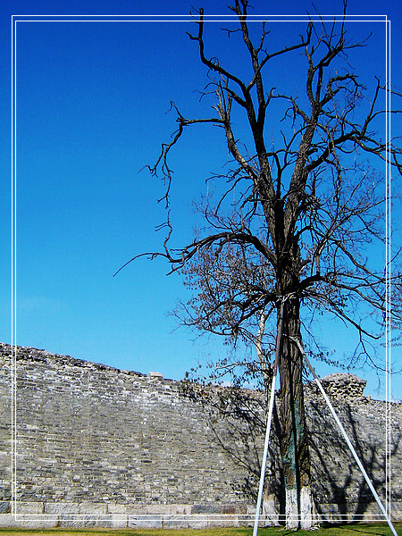 nEO_IMG_DSC01141.jpg