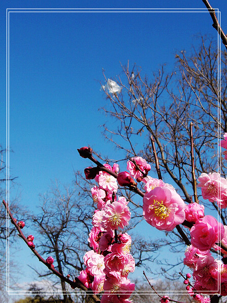 nEO_IMG_DSC01149.jpg