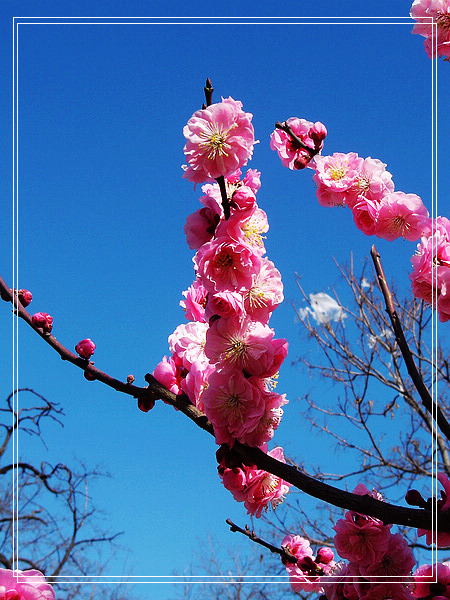 nEO_IMG_DSC01147.jpg