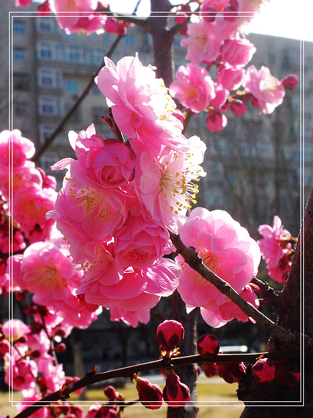 nEO_IMG_DSC01150.jpg