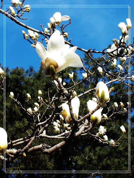 nEO_IMG_DSC01173.jpg