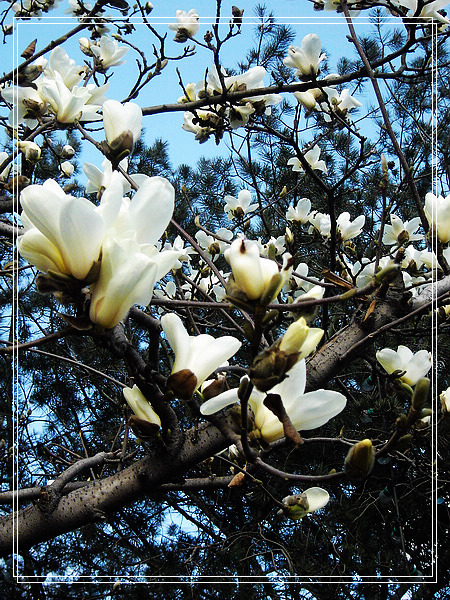 nEO_IMG_DSC01189.jpg
