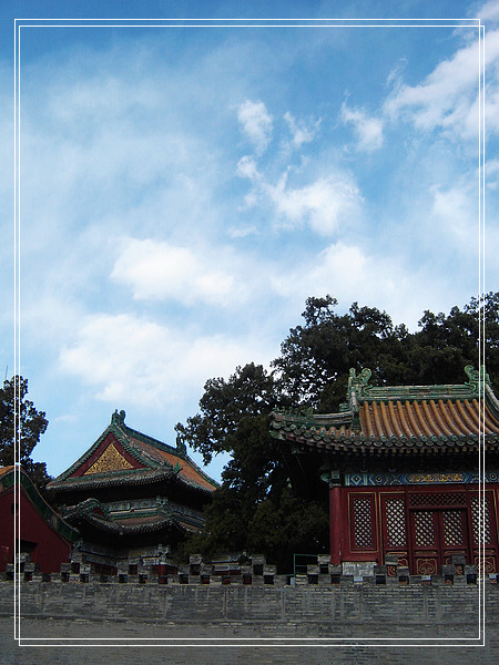 nEO_IMG_DSC01197.jpg