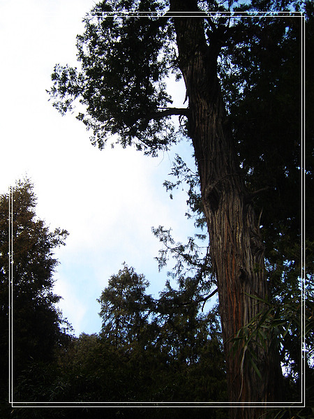 nEO_IMG_DSC01205.jpg