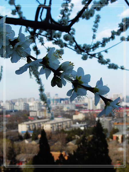 nEO_IMG_DSC01229.jpg