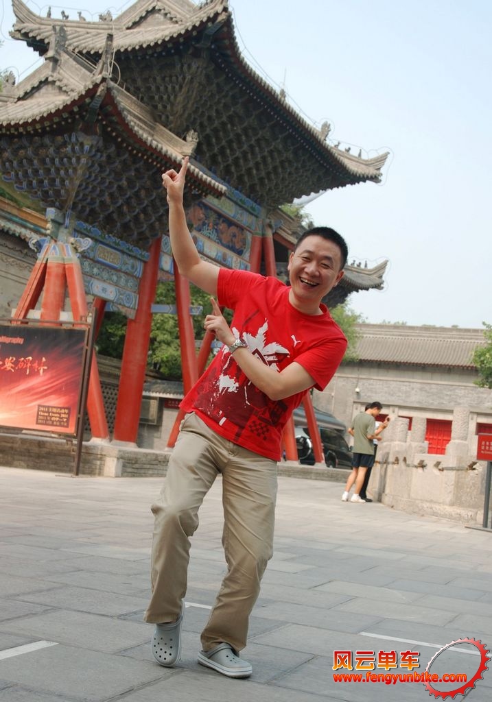 一行白鹭上青天