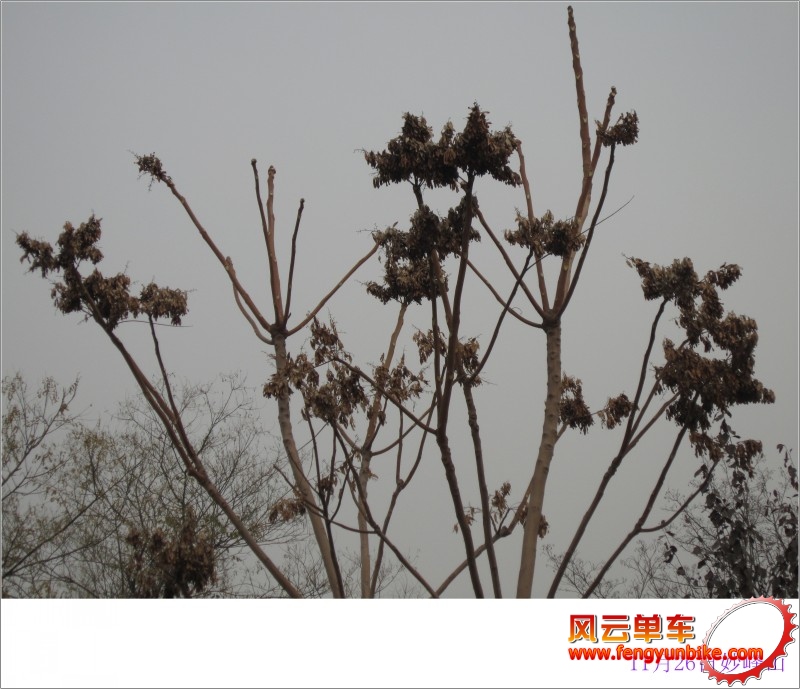 conew_照片 051.jpg