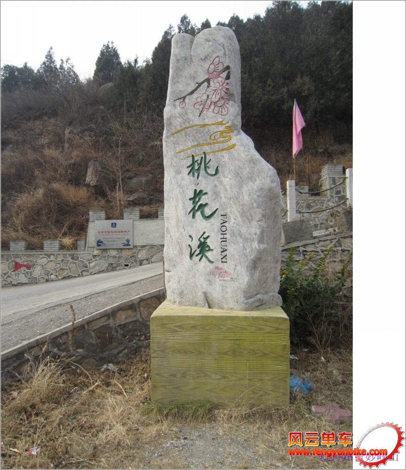 conew_照片 063.jpg