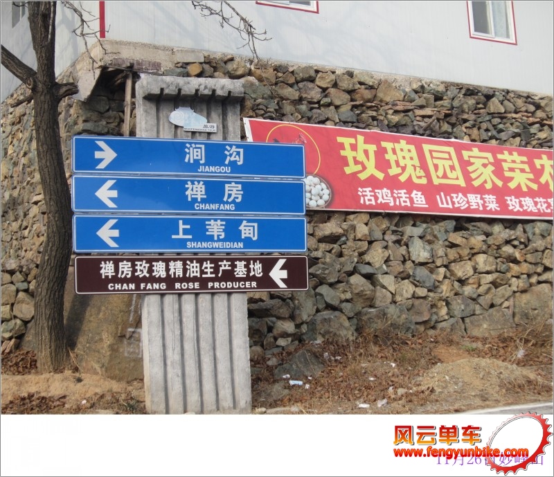 conew_照片 081.jpg