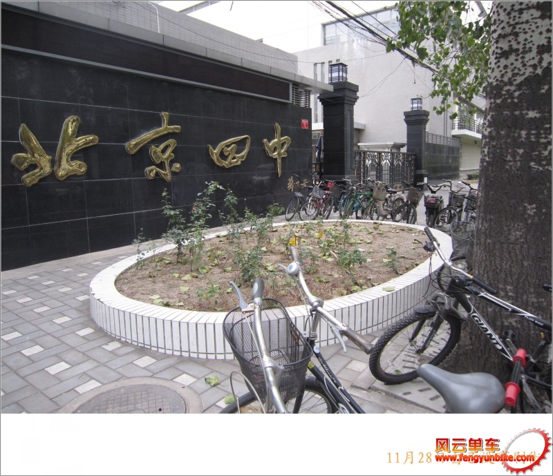 conew_照片 019.jpg