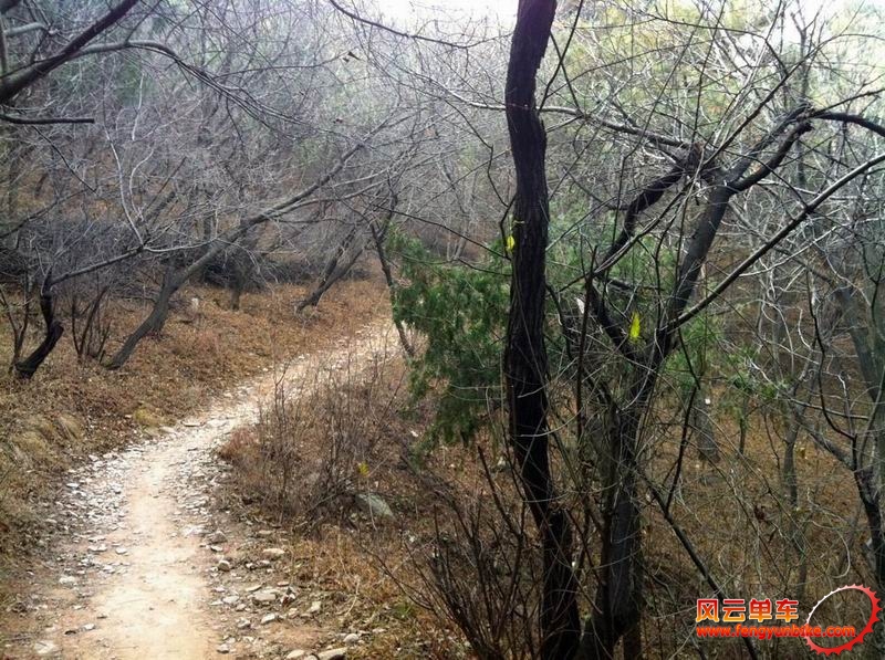 调整大小 IMG_0480.jpg