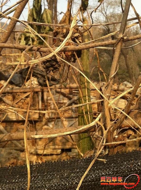 调整大小 IMG_0478.jpg