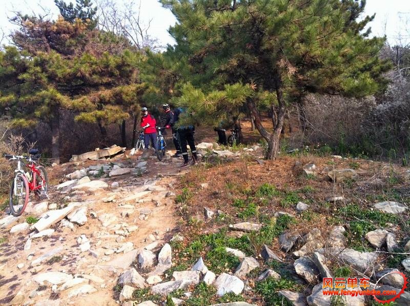 调整大小 IMG_0527.jpg