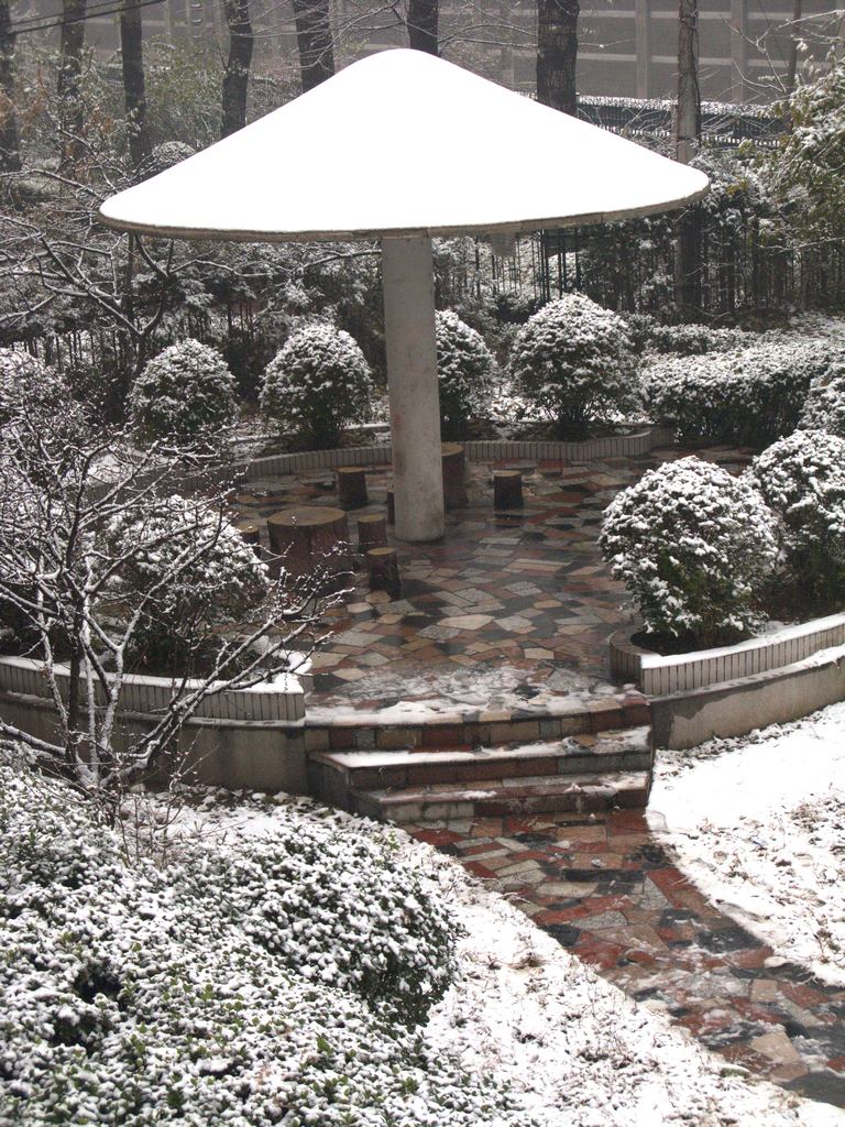 IMG_0074.jpg