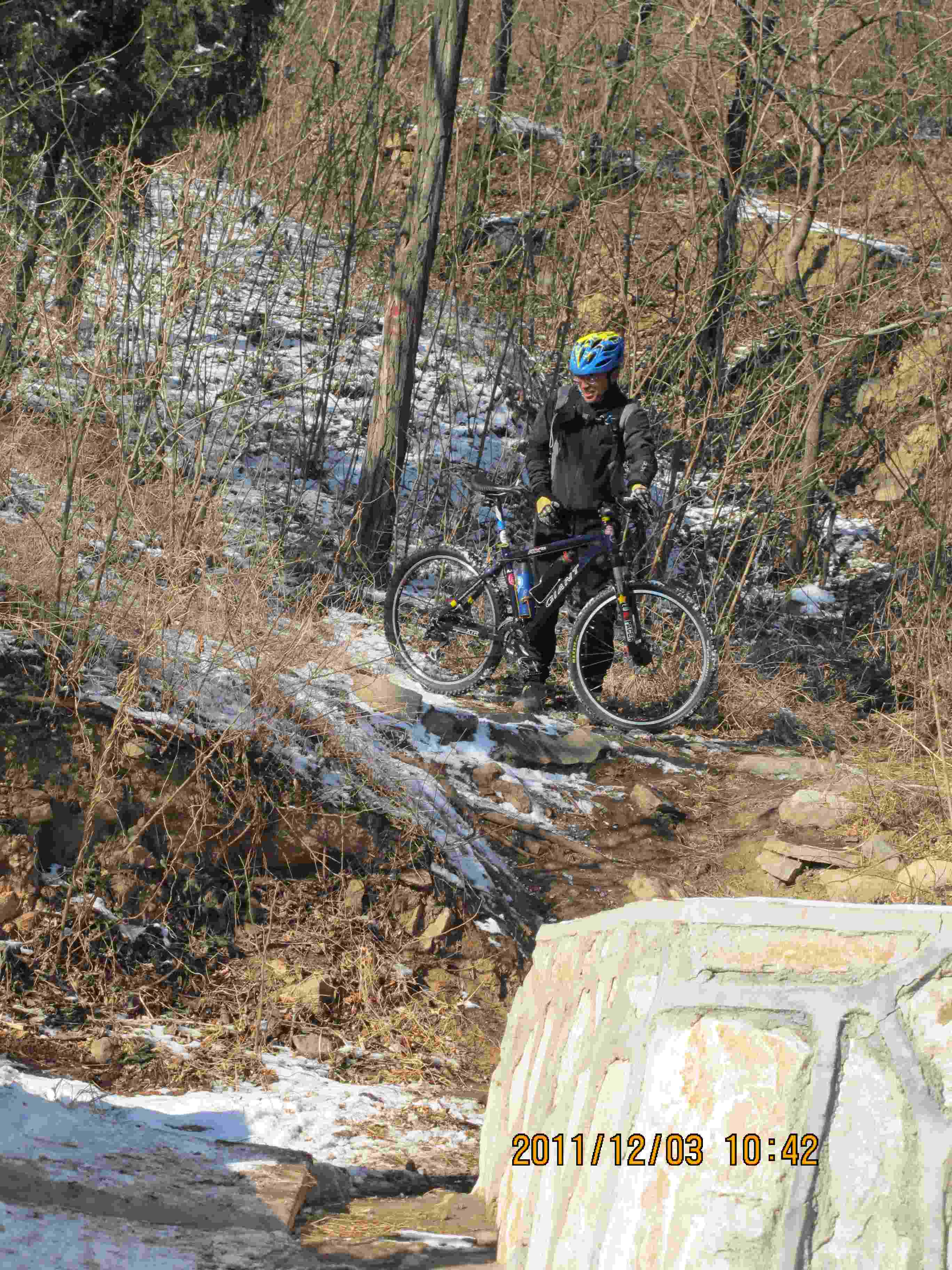 21独行大哥想飞下来    后来冷静了.JPG