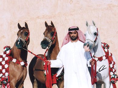 皇储谢赫阿马尔