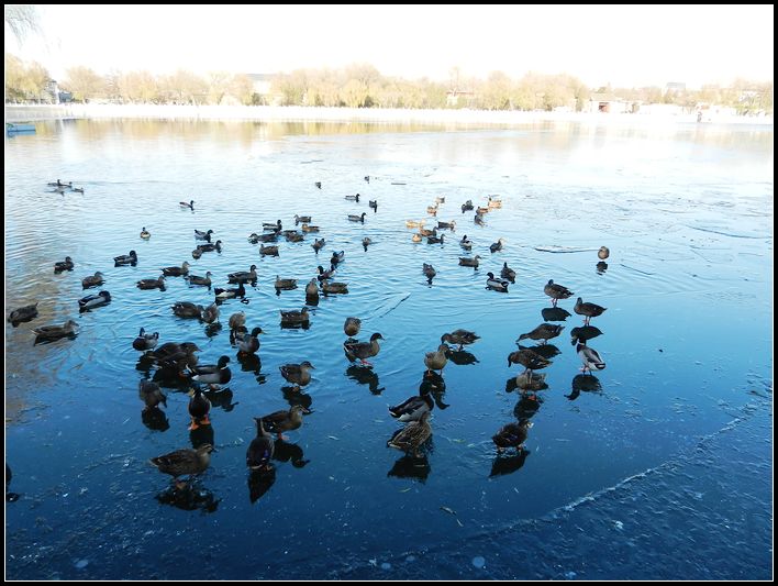 怎么觉得少了呢
