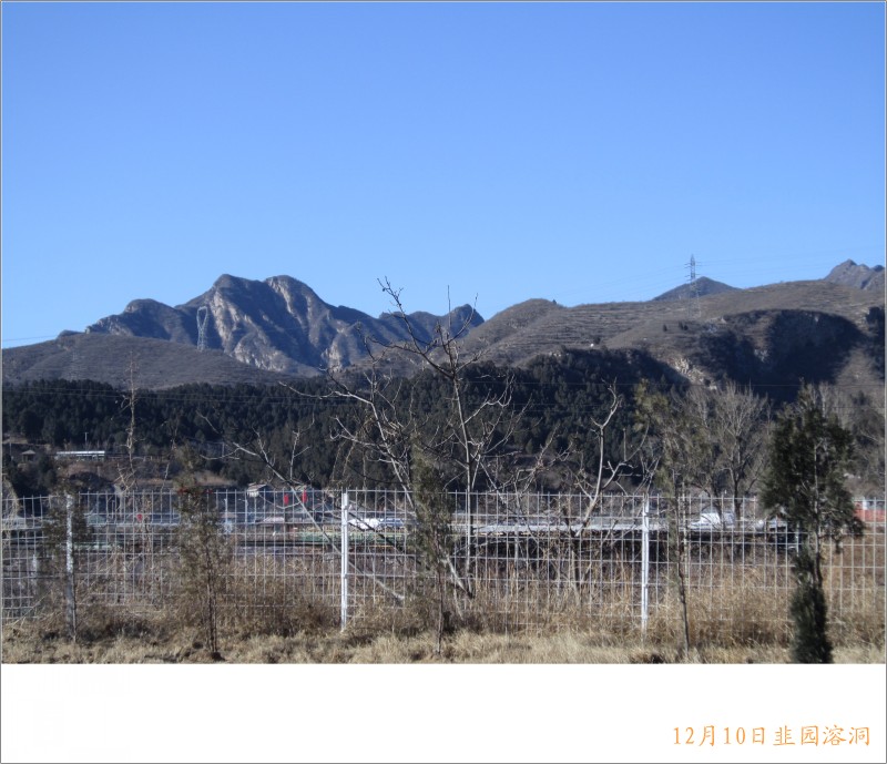 conew_照片 028.jpg