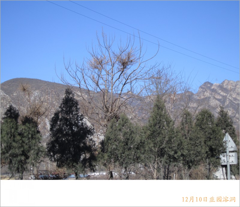 conew_照片 029.jpg