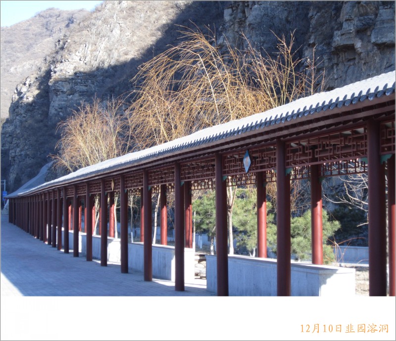 conew_照片 032.jpg