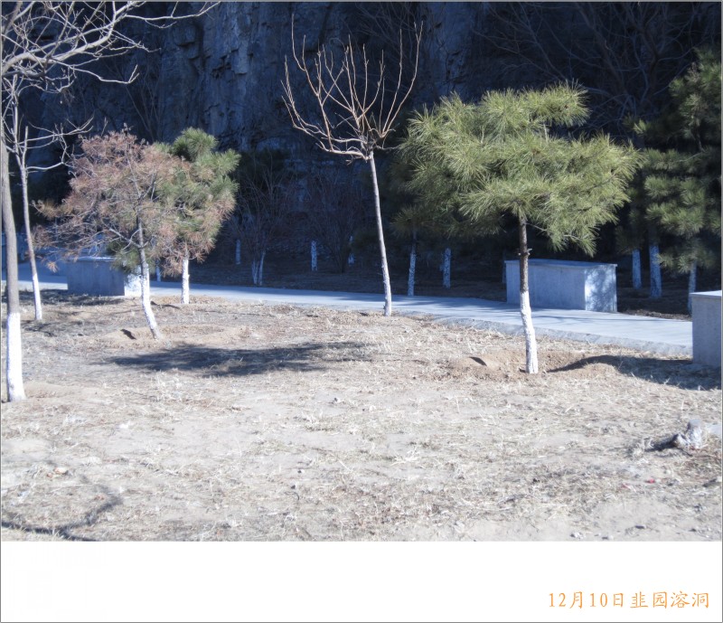 conew_照片 033.jpg