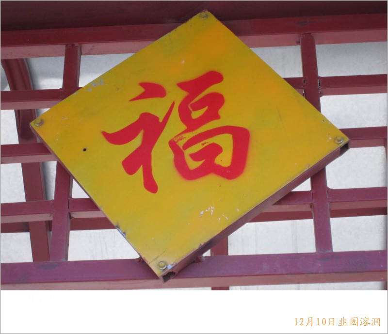 conew_照片 035.jpg