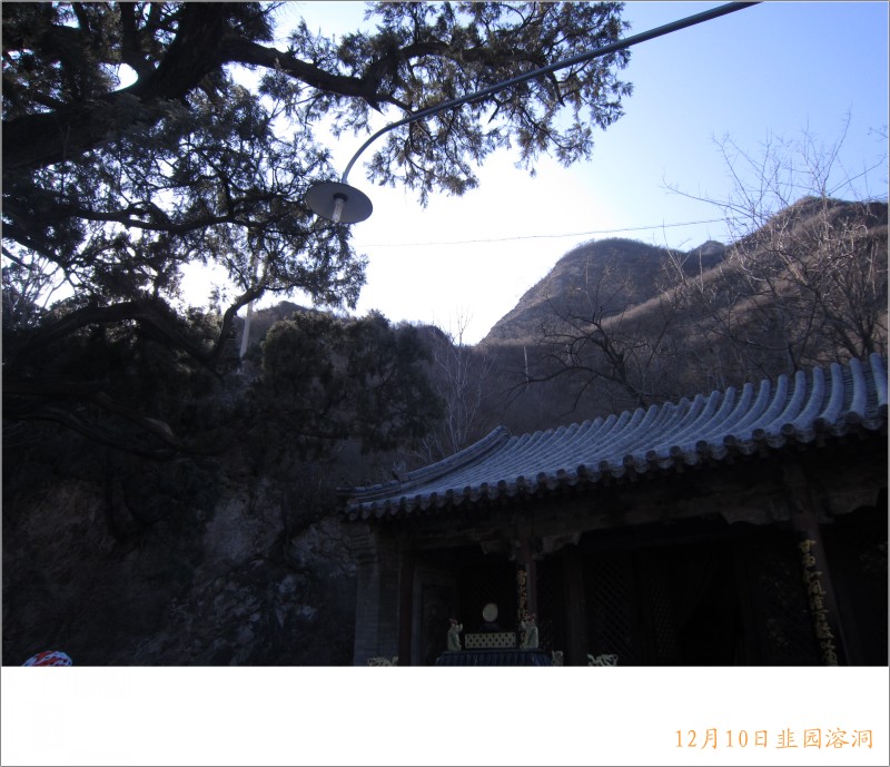 conew_照片 040.jpg