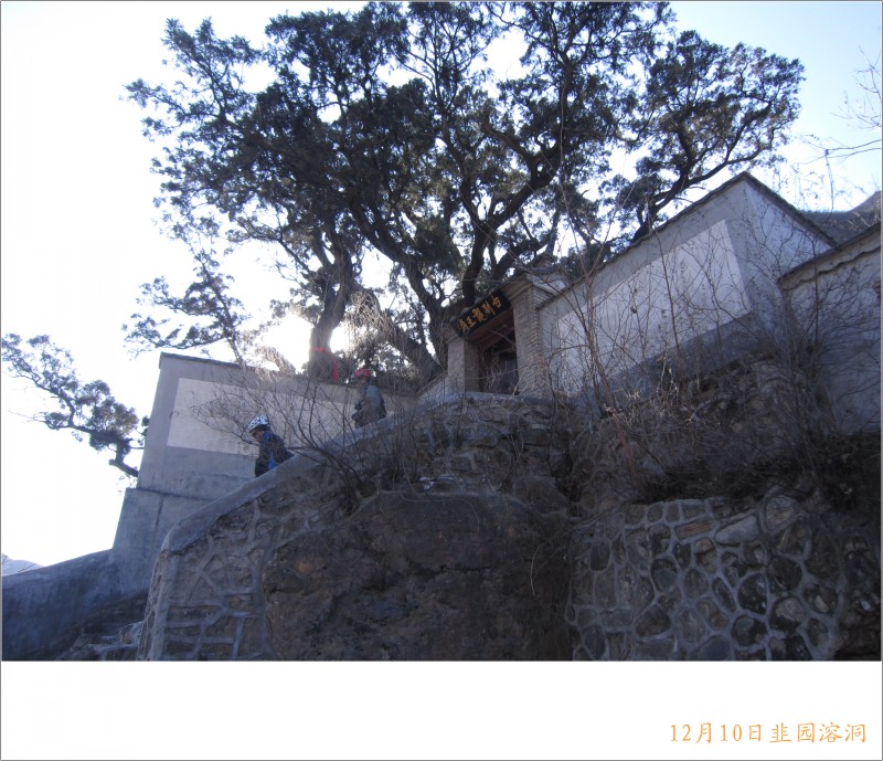 conew_照片 042.jpg