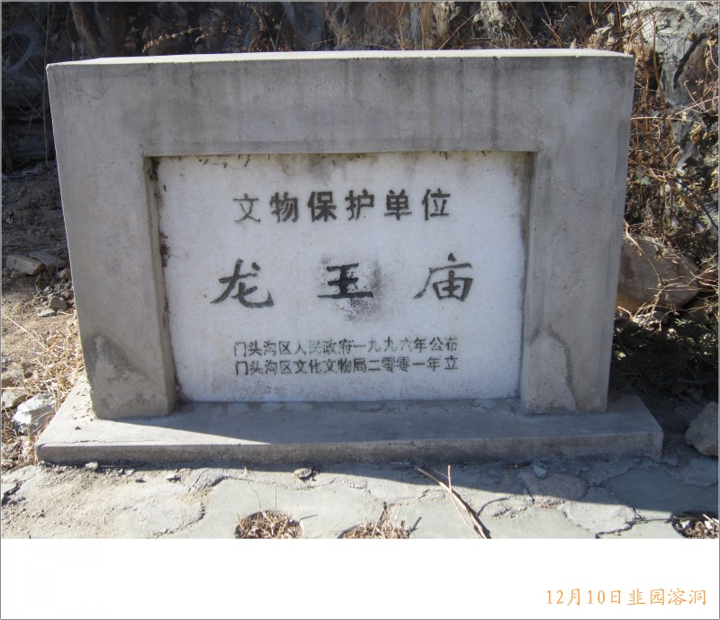 conew_照片 043.jpg