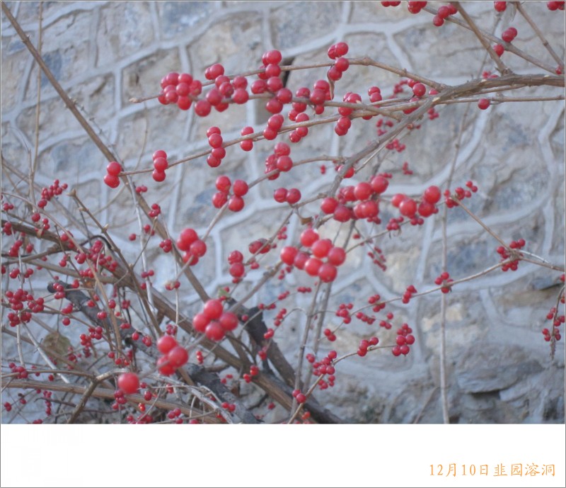 conew_照片 045.jpg