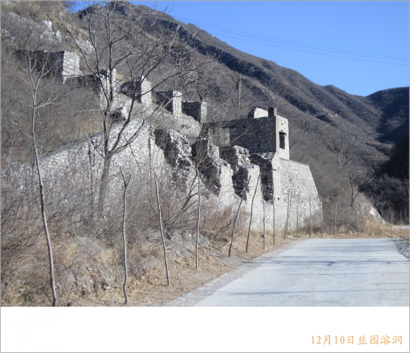 conew_照片 050.jpg