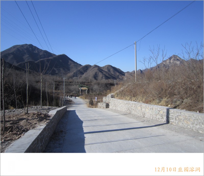 conew_照片 052.jpg