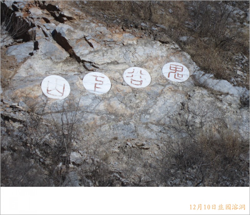 conew_照片 059.jpg