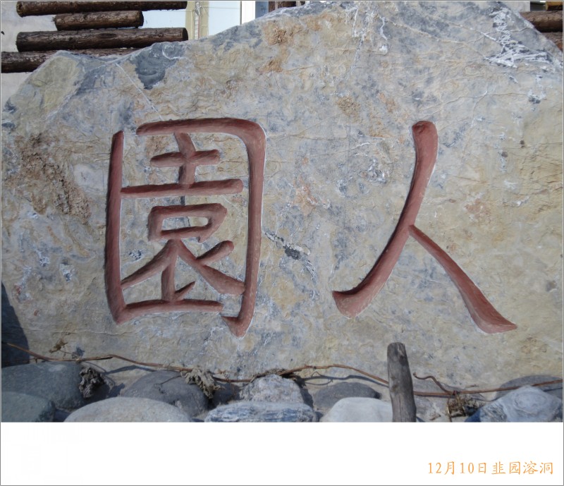 conew_照片 070.jpg