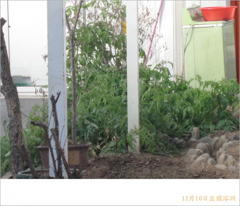 conew_照片 072.jpg