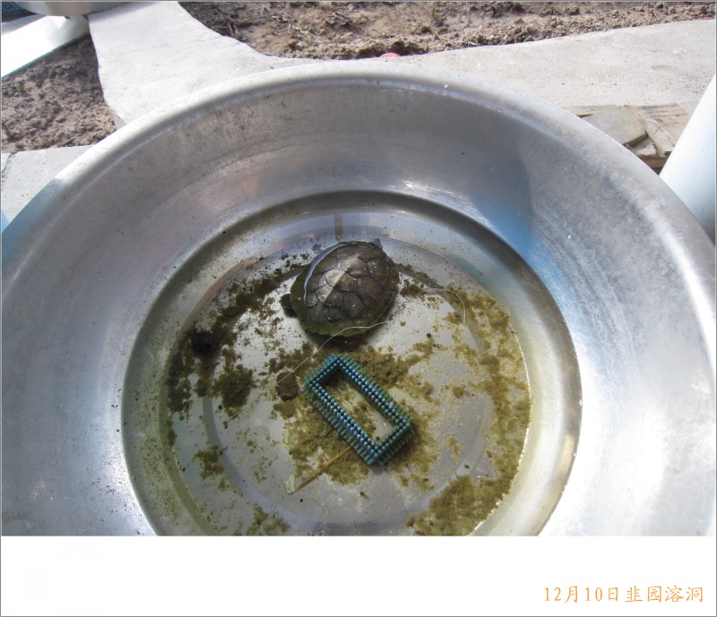 conew_照片 075.jpg