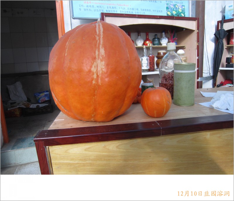 conew_照片 077.jpg