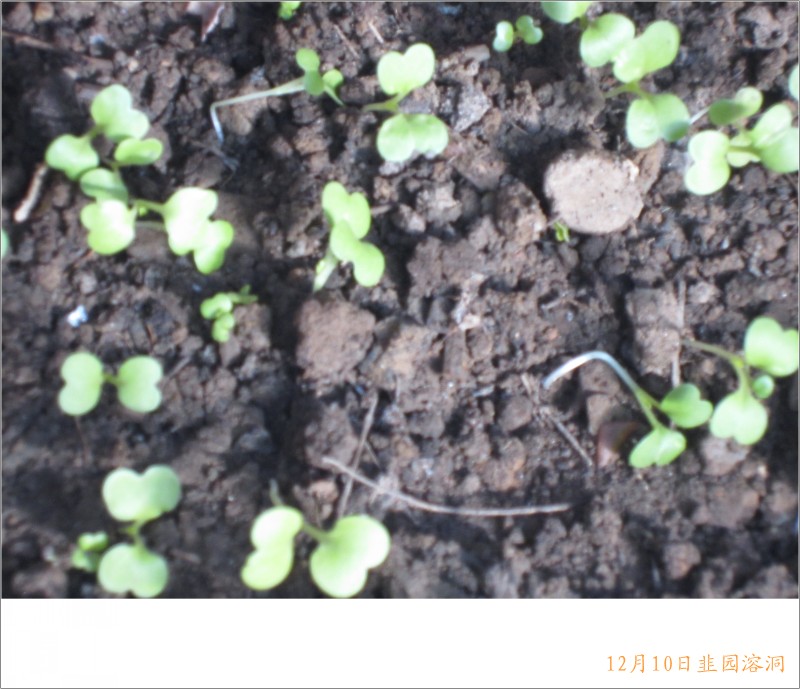 conew_照片 079.jpg