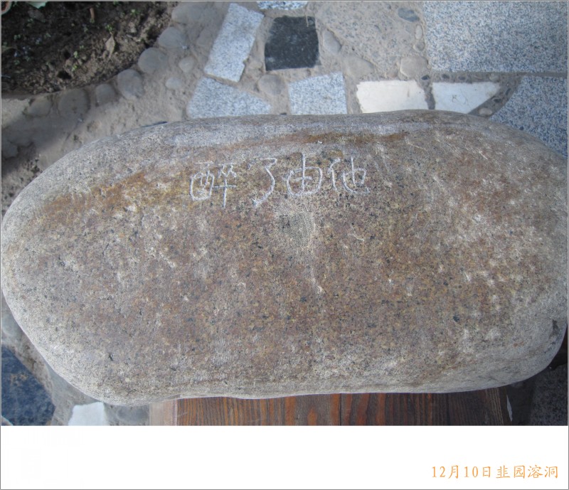 conew_照片 085.jpg