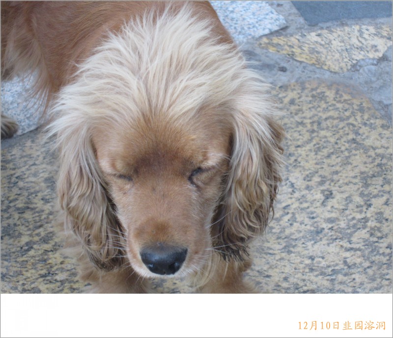 conew_照片 088.jpg