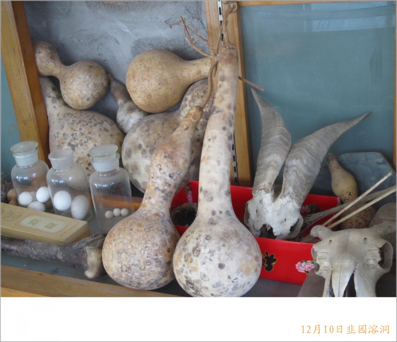 conew_照片 095.jpg