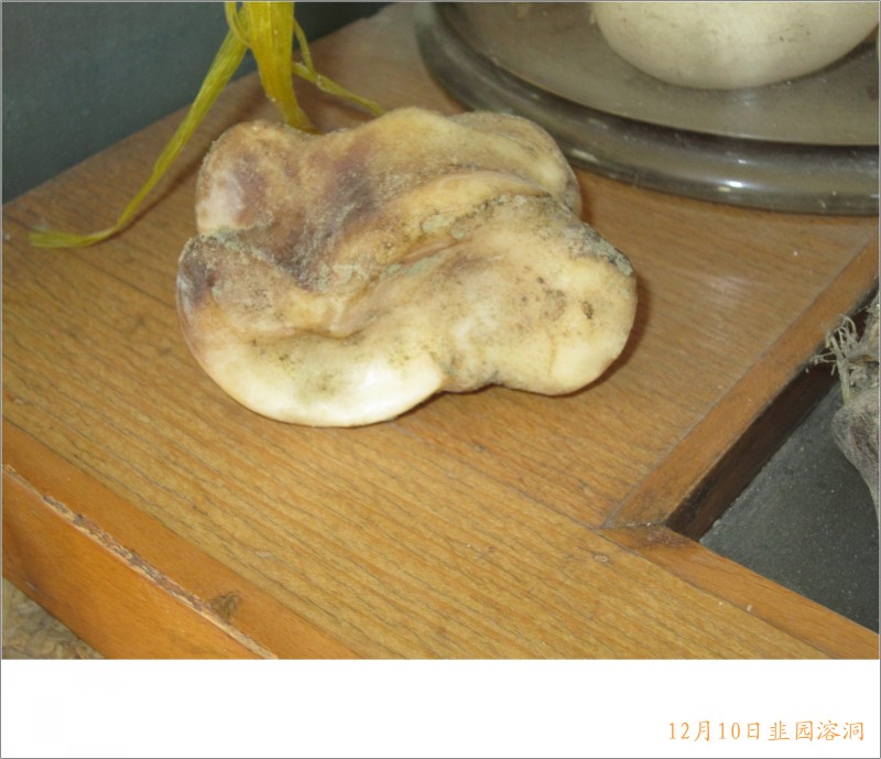 conew_照片 096.jpg