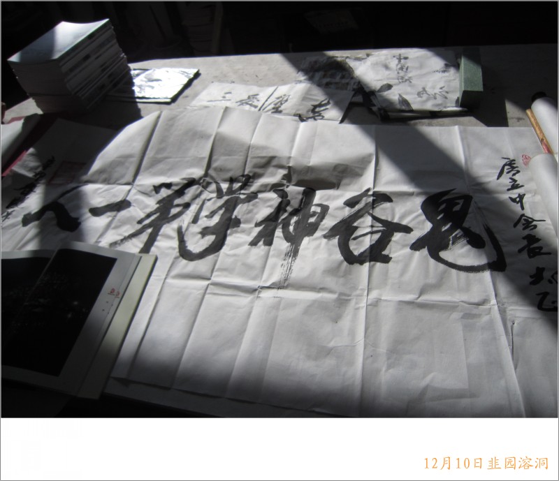 conew_照片 102.jpg